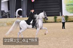 22R13_04788 thumbnail