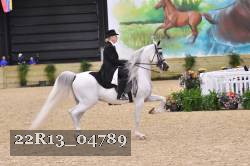 22R13_04789 thumbnail