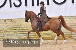 22R13_04790 thumbnail