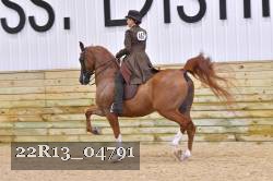 22R13_04791 thumbnail