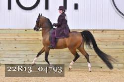 22R13_04793 thumbnail