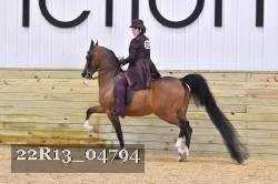 22R13_04794 thumbnail
