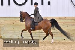 22R13_04795 thumbnail