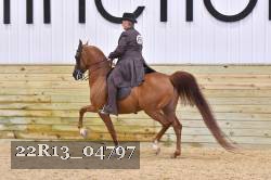 22R13_04797 thumbnail