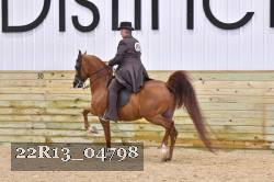 22R13_04798 thumbnail