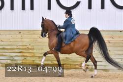 22R13_04799 thumbnail