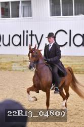 22R13_04809 thumbnail
