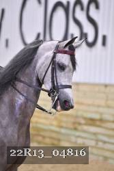 22R13_04816 thumbnail