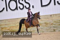 22R13_04820 thumbnail