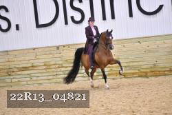 22R13_04821 thumbnail