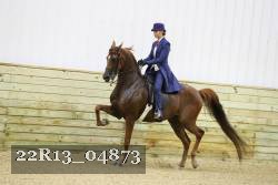 22R13_04873 thumbnail