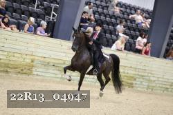 22R13_04947 thumbnail