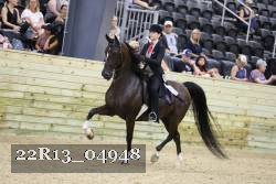 22R13_04948 thumbnail
