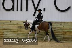 22R13_05266 thumbnail