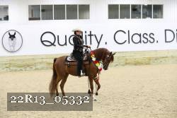 22R13_05332 thumbnail