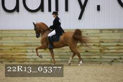 22R13_05377 thumbnail