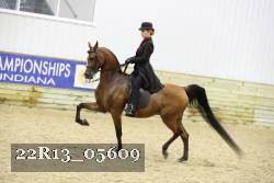 22R13_05609 thumbnail
