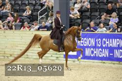 22R13_05629 thumbnail