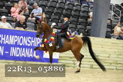 22R13_05886 thumbnail