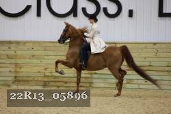 22R13_05896 thumbnail
