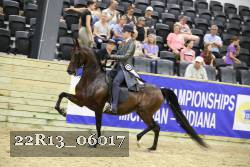 22R13_06017 thumbnail