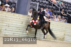 22R13_06319 thumbnail