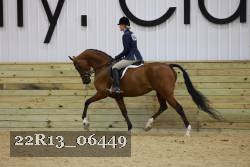 22R13_06449 thumbnail