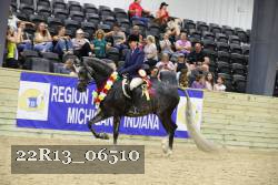 22R13_06510 thumbnail