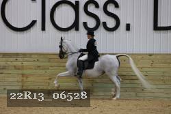 22R13_06528 thumbnail