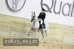 22R13_06529 thumbnail