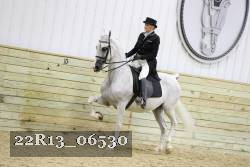 22R13_06530 thumbnail