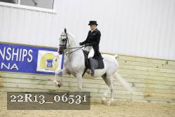 22R13_06531 thumbnail