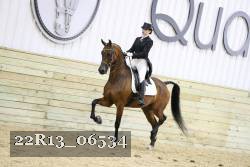 22R13_06534 thumbnail