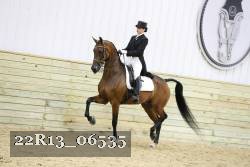 22R13_06535 thumbnail
