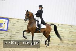 22R13_06536 thumbnail
