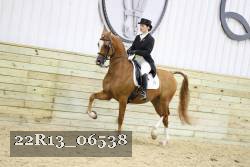 22R13_06538 thumbnail