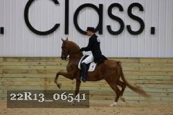22R13_06541 thumbnail