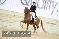 22R13_06542 thumbnail