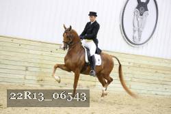 22R13_06543 thumbnail
