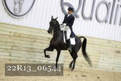 22R13_06544 thumbnail
