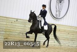 22R13_06545 thumbnail