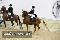 22R13_06548 thumbnail