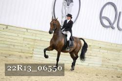 22R13_06550 thumbnail