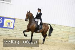 22R13_06551 thumbnail
