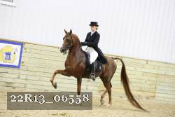 22R13_06558 thumbnail