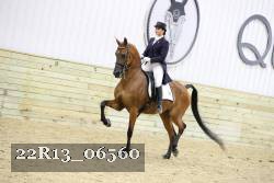 22R13_06560 thumbnail