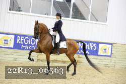 22R13_06563 thumbnail