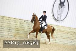 22R13_06564 thumbnail
