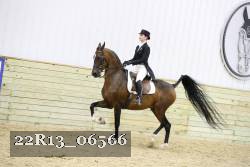 22R13_06566 thumbnail