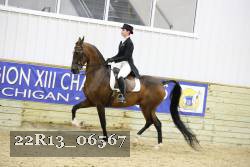 22R13_06567 thumbnail